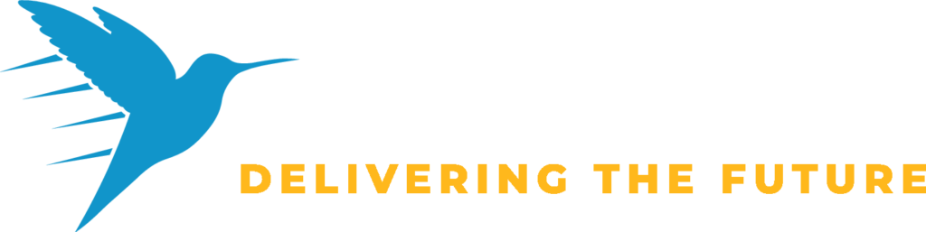 917 Solutions Logo